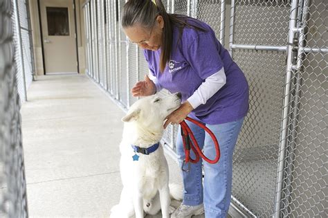 Animal shelter manager - For 7 years, “Ann” managed an animal shelter where she was responsible for everything from hiring and supervising the animal care workers to vaccinating and even euthanizing the shelter’s animals. …